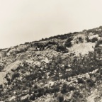 Chief Mountain 1904